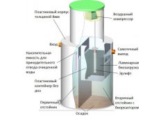 Панда Кинг 60